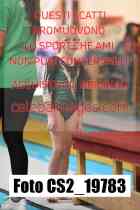 CS2_19783-
