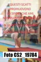 CS2_19784-