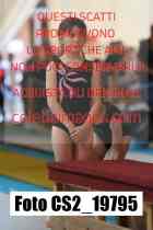 CS2_19795-