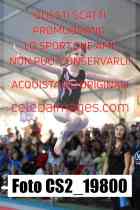 CS2_19800-