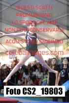 CS2_19803-