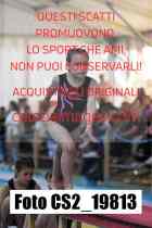 CS2_19813-