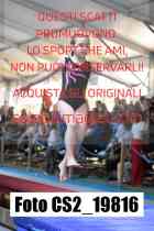 CS2_19816-