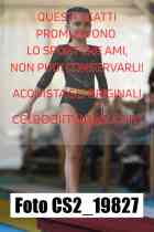 CS2_19827-