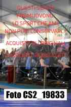 CS2_19833-