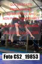 CS2_19853-