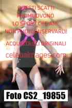 CS2_19855-