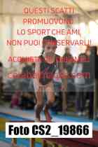 CS2_19866-