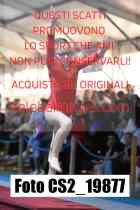 CS2_19877-
