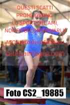 CS2_19885-