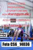 CS6_14036-