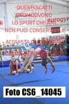 CS6_14045-