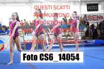CS6_14054-