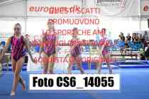 CS6_14055-