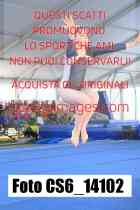 CS6_14102-