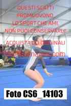 CS6_14103-