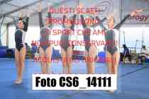 CS6_14111-
