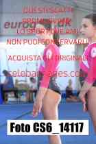CS6_14117-