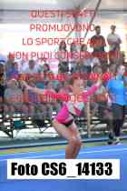 CS6_14133-