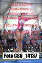 CS6_14137-