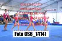 CS6_14141-