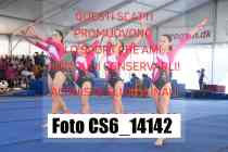 CS6_14142-