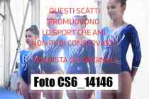 CS6_14146-