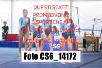 CS6_14172-