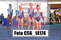 CS6_14174-