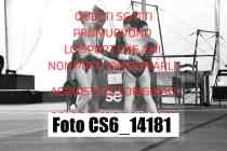 CS6_14181-