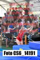 CS6_14191-