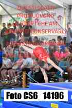 CS6_14196-