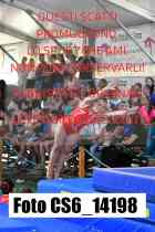 CS6_14198-
