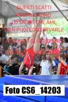 CS6_14203-