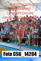 CS6_14204-
