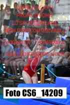 CS6_14209-