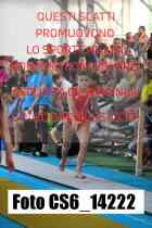 CS6_14222-