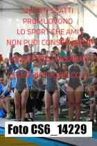 CS6_14229-