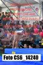 CS6_14240-
