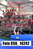 CS6_14242-