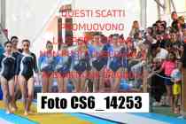 CS6_14253-