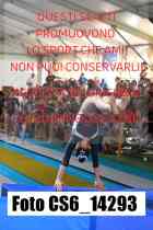 CS6_14293-