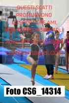 CS6_14314-