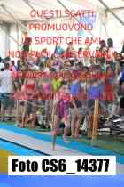CS6_14377-