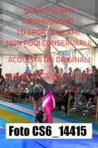 CS6_14415-
