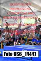 CS6_14447-