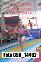 CS6_14462-