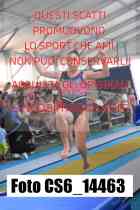 CS6_14463-