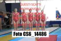 CS6_14486-