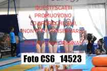 CS6_14523-